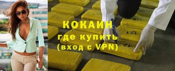 индика Горнозаводск