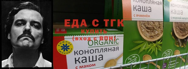 прущие крисы Армянск