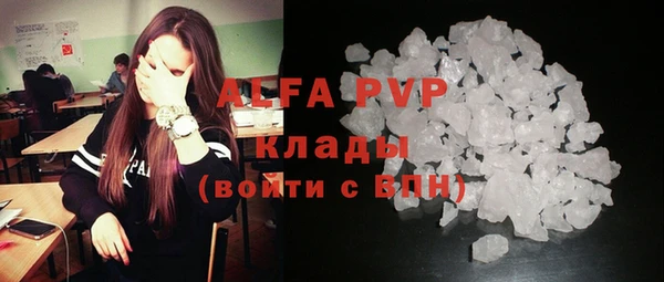 твердый Аркадак