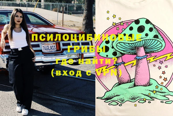 твердый Аркадак