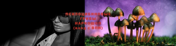 прущие крисы Армянск