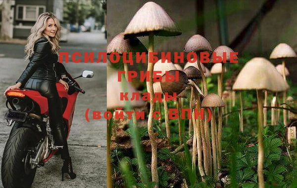 твердый Аркадак