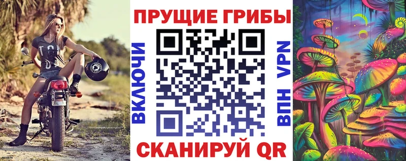 Псилоцибиновые грибы GOLDEN TEACHER  Лодейное Поле 