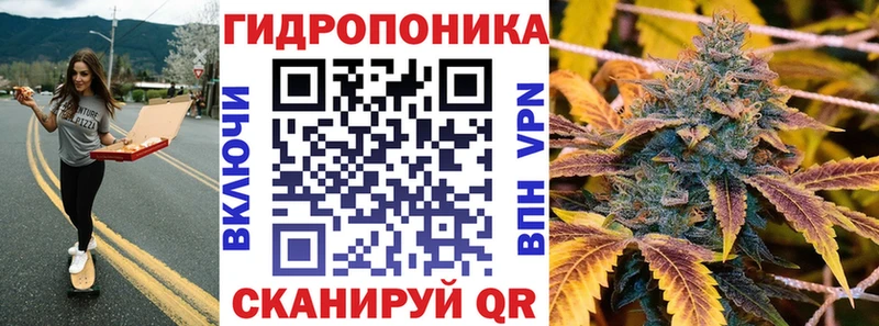 как найти наркотики  OMG ТОР  Бошки Шишки сатива  Лодейное Поле 